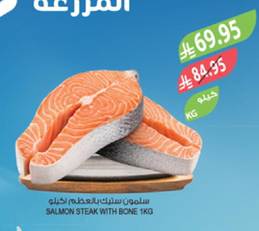 available at المزرعة in مملكة العربية السعودية, السعودية, سعودية - تبوك