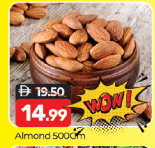 available at المدينة in الإمارات العربية المتحدة , الامارات - دبي