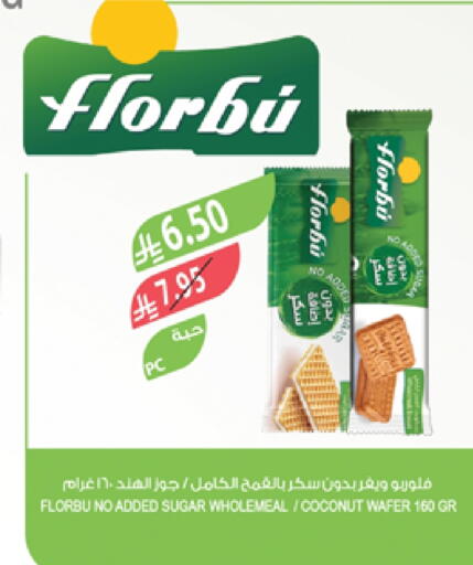 Coconut available at Farm  in KSA, Saudi Arabia, Saudi - Tabuk