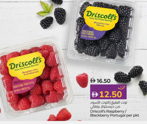 Strawberry Raspberry Blackberry from Mexico Portugal available at لولو هايبرماركت in الإمارات العربية المتحدة , الامارات - رَأْس ٱلْخَيْمَة