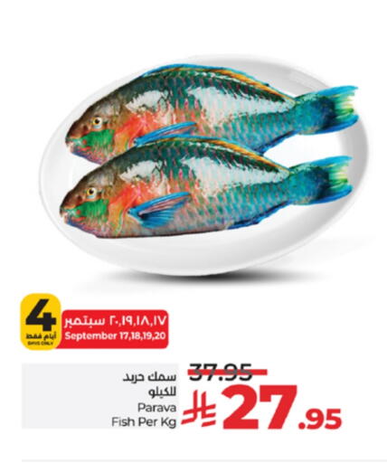 available at لولو هايبرماركت in مملكة العربية السعودية, السعودية, سعودية - جدة