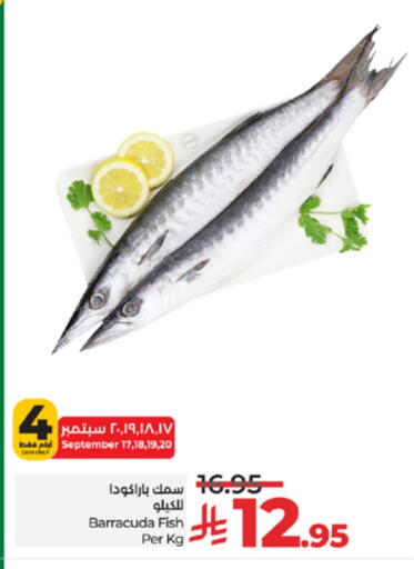 available at لولو هايبرماركت in مملكة العربية السعودية, السعودية, سعودية - جدة