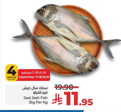 available at لولو هايبرماركت in مملكة العربية السعودية, السعودية, سعودية - الخرج