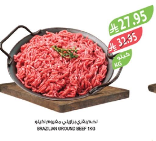 Beef available at Farm  in KSA, Saudi Arabia, Saudi - Tabuk
