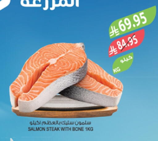 available at المزرعة in مملكة العربية السعودية, السعودية, سعودية - جدة