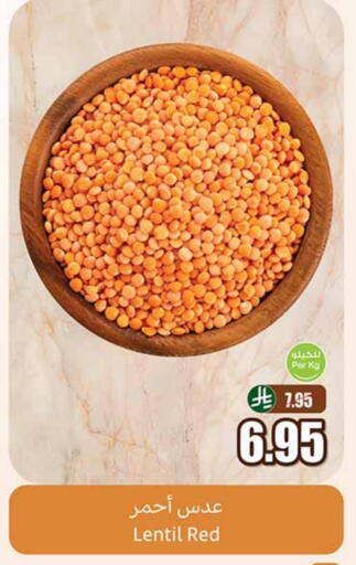 available at Othaim Markets in KSA, Saudi Arabia, Saudi - Tabuk