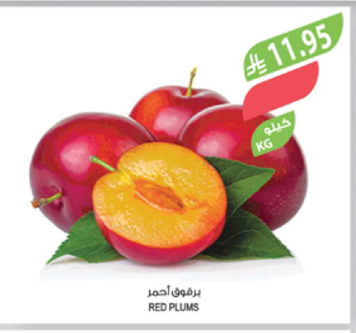 Plums available at Farm  in KSA, Saudi Arabia, Saudi - Al-Kharj