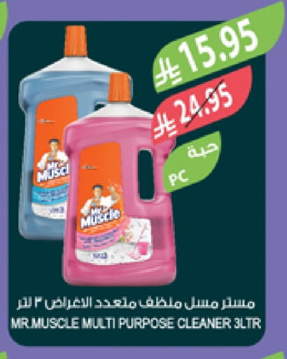 General Cleaner available at Farm  in KSA, Saudi Arabia, Saudi - Al Khobar