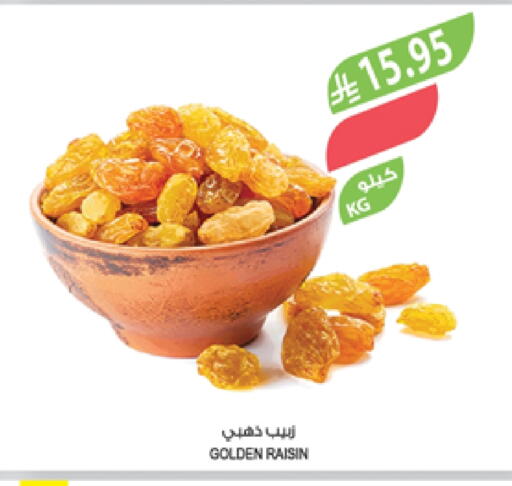 available at المزرعة in مملكة العربية السعودية, السعودية, سعودية - جدة