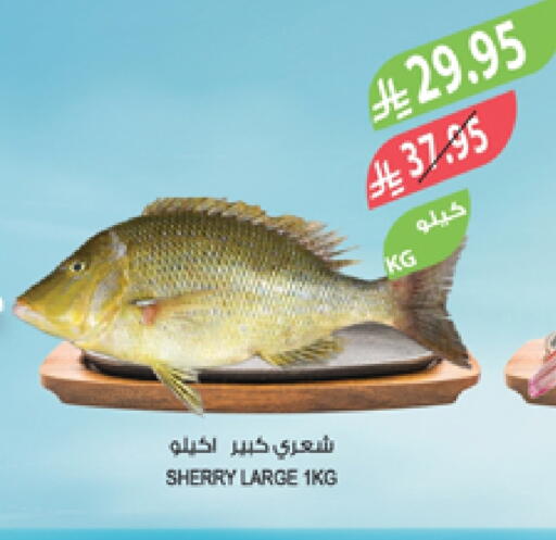 available at المزرعة in مملكة العربية السعودية, السعودية, سعودية - الخرج
