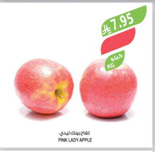 Apples available at Farm  in KSA, Saudi Arabia, Saudi - Jeddah
