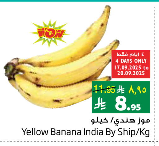 موز from India available at ليان هايبر in مملكة العربية السعودية, السعودية, سعودية - الخبر‎