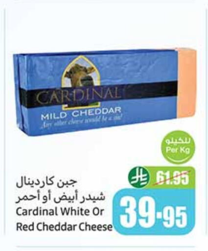 Cheddar Cheese available at Othaim Markets in KSA, Saudi Arabia, Saudi - Al-Kharj