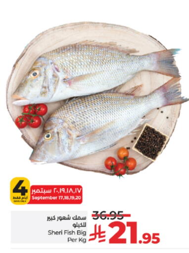 available at لولو هايبرماركت in مملكة العربية السعودية, السعودية, سعودية - جدة