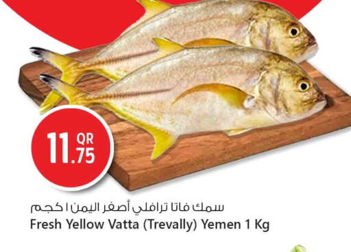 available at Safari Hypermarket in Qatar - Doha