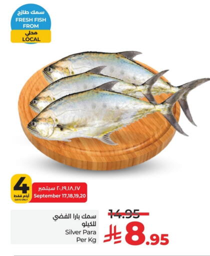 available at لولو هايبرماركت in مملكة العربية السعودية, السعودية, سعودية - الخبر‎