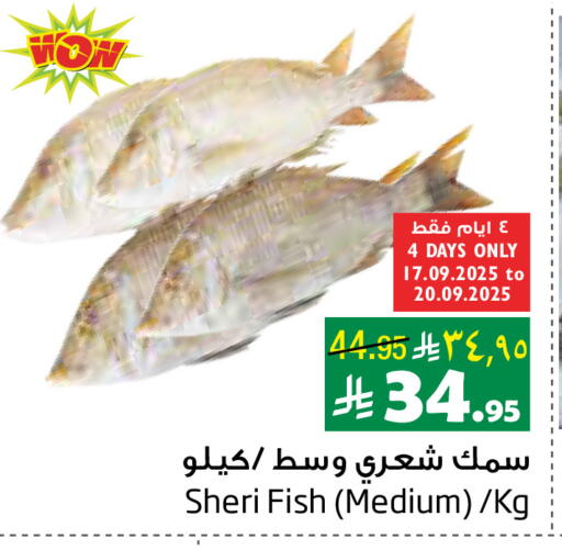 available at ليان هايبر in مملكة العربية السعودية, السعودية, سعودية - الخبر‎