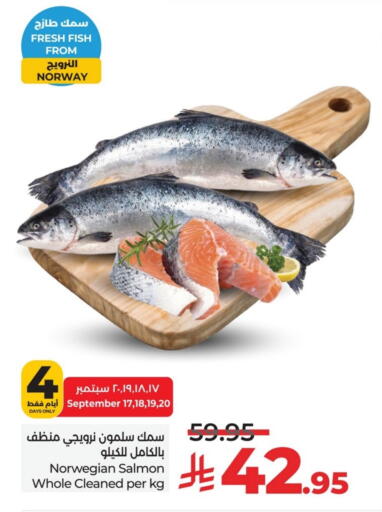 available at لولو هايبرماركت in مملكة العربية السعودية, السعودية, سعودية - الخبر‎