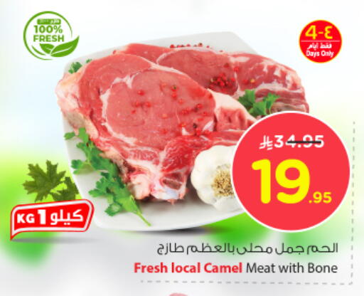 Camel meat available at Nesto in KSA, Saudi Arabia, Saudi - Riyadh