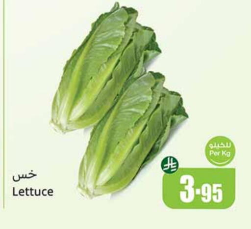 Lettuce available at Othaim Markets in KSA, Saudi Arabia, Saudi - Sakaka