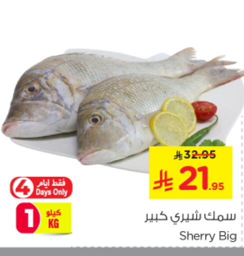 available at نستو in مملكة العربية السعودية, السعودية, سعودية - الخرج