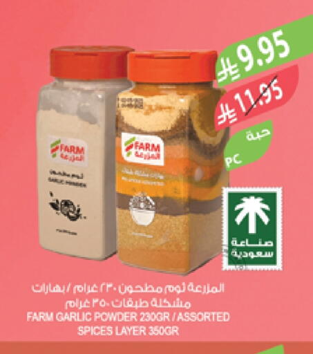 Garlic available at المزرعة in مملكة العربية السعودية, السعودية, سعودية - تبوك