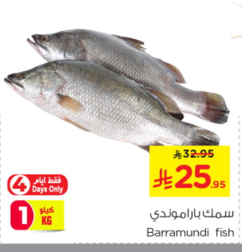 available at نستو in مملكة العربية السعودية, السعودية, سعودية - الخرج
