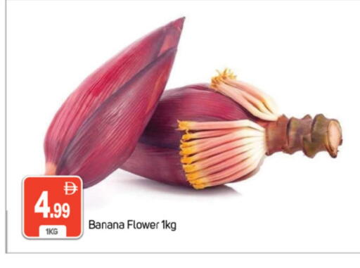 Banana available at سوق طلال in الإمارات العربية المتحدة , الامارات - دبي