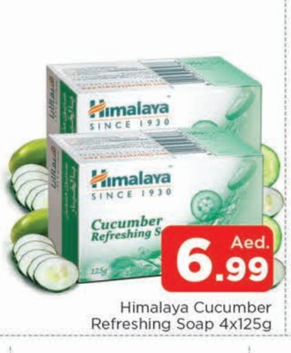 Cucumber available at المدينة in الإمارات العربية المتحدة , الامارات - الشارقة / عجمان