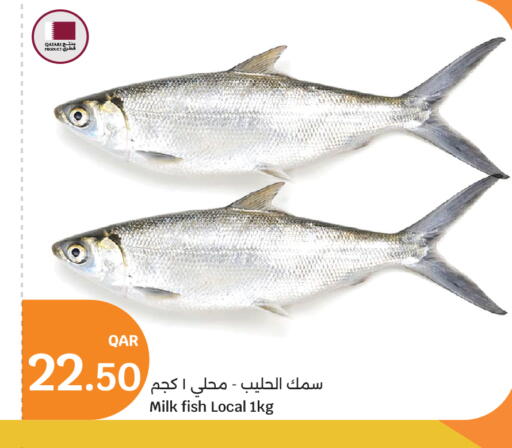 available at City Hypermarket in Qatar - Doha