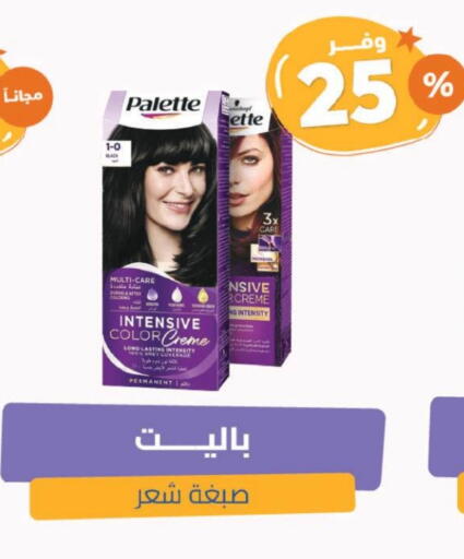 PALETTE Hair Colour available at United Pharmacies in KSA, Saudi Arabia, Saudi - Al Khobar