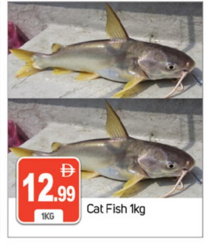 available at سوق طلال in الإمارات العربية المتحدة , الامارات - دبي