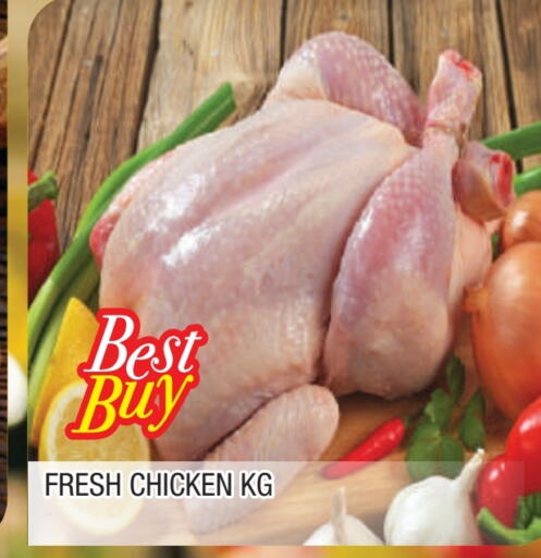 دجاج كامل طازج available at المدينة in الإمارات العربية المتحدة , الامارات - الشارقة / عجمان