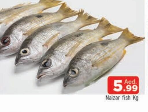 available at المدينة in الإمارات العربية المتحدة , الامارات - الشارقة / عجمان