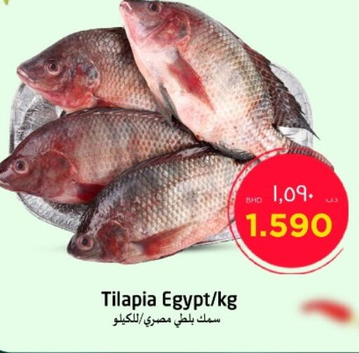 available at NESTO  in Bahrain