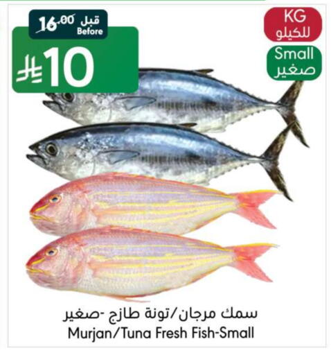available at مانويل ماركت in مملكة العربية السعودية, السعودية, سعودية - جدة