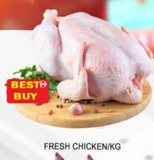دجاج كامل طازج available at المدينة in الإمارات العربية المتحدة , الامارات - الشارقة / عجمان