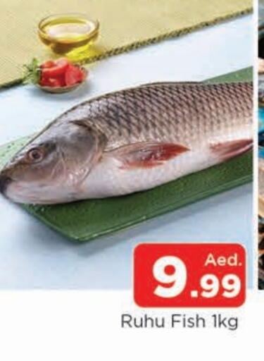 available at المدينة in الإمارات العربية المتحدة , الامارات - الشارقة / عجمان