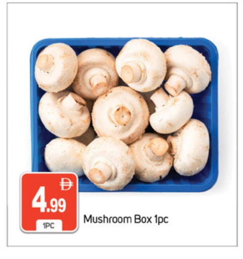 Mushroom available at سوق طلال in الإمارات العربية المتحدة , الامارات - دبي