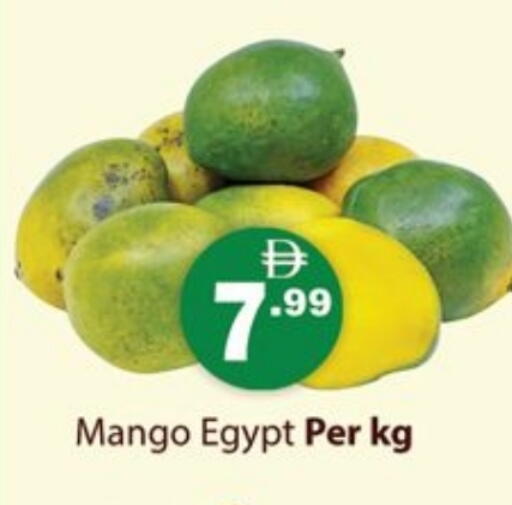 Mango from Egypt available at جلف هايبرماركت ذ.م.م in الإمارات العربية المتحدة , الامارات - رَأْس ٱلْخَيْمَة