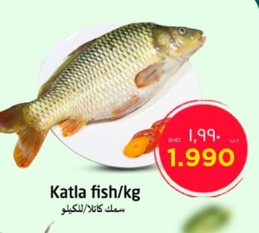 available at NESTO  in Bahrain