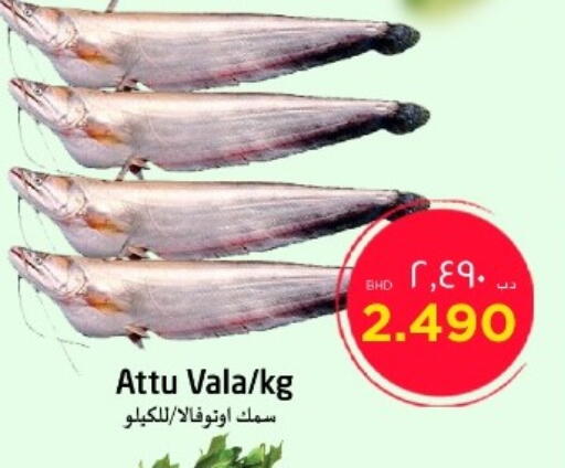 available at NESTO  in Bahrain