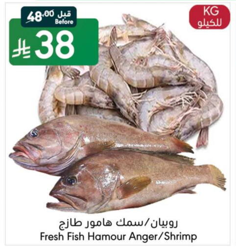 available at مانويل ماركت in مملكة العربية السعودية, السعودية, سعودية - جدة