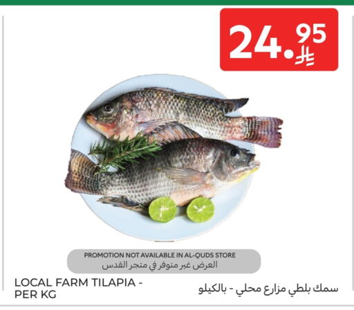 available at كارفور in مملكة العربية السعودية, السعودية, سعودية - بريدة