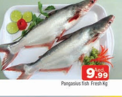 available at المدينة in الإمارات العربية المتحدة , الامارات - الشارقة / عجمان