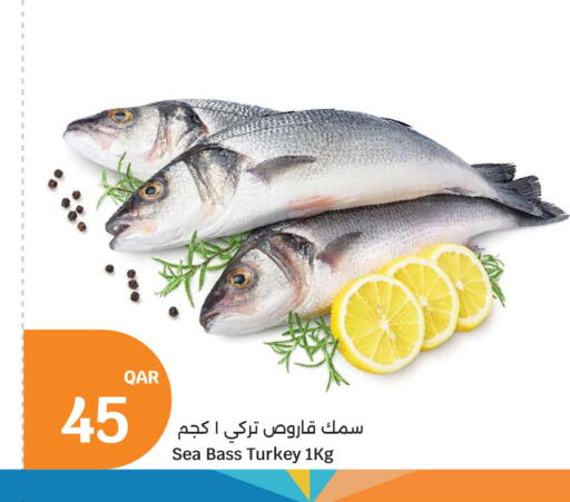 available at City Hypermarket in Qatar - Doha