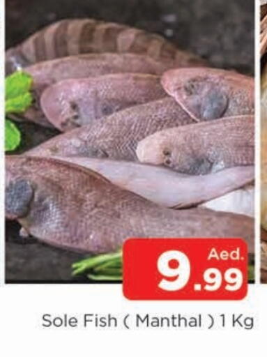 available at المدينة in الإمارات العربية المتحدة , الامارات - الشارقة / عجمان