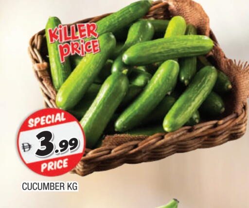 خيار available at المدينة in الإمارات العربية المتحدة , الامارات - الشارقة / عجمان