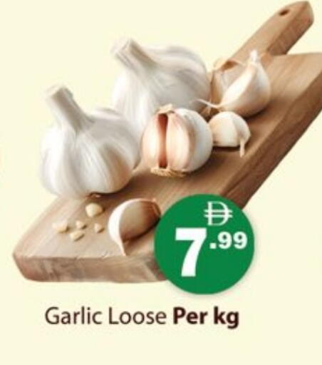 Garlic available at جلف هايبرماركت ذ.م.م in الإمارات العربية المتحدة , الامارات - رَأْس ٱلْخَيْمَة
