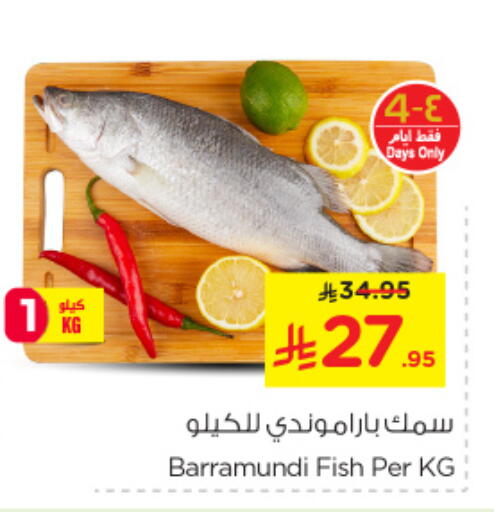 available at نستو in مملكة العربية السعودية, السعودية, سعودية - الخبر‎